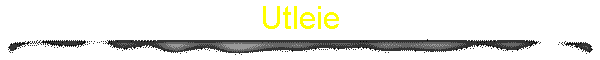 Utleie